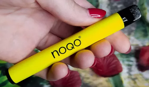 Review of NOQO 500